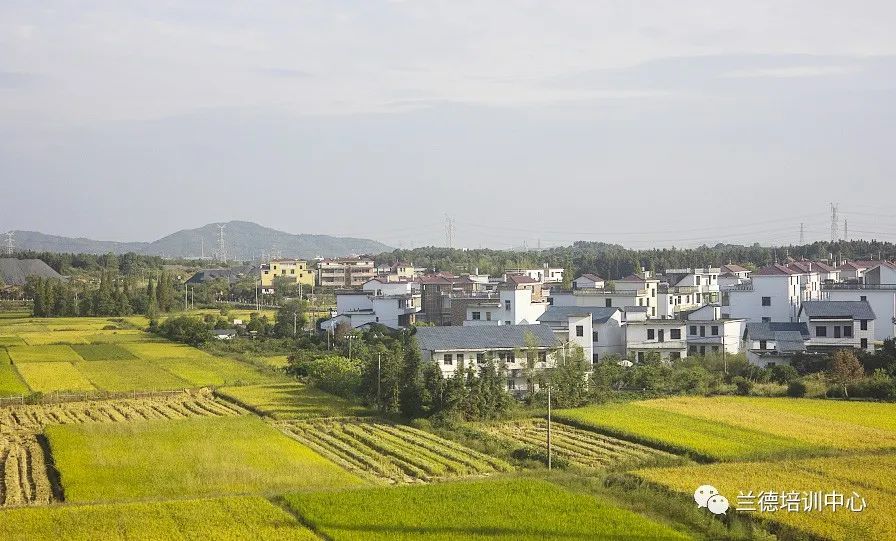 乡村振兴战略面对面心得,乡村振兴致富带头人培训心得