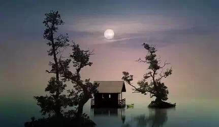 寻人不遇的经典诗句,寻隐者不遇经典诗句