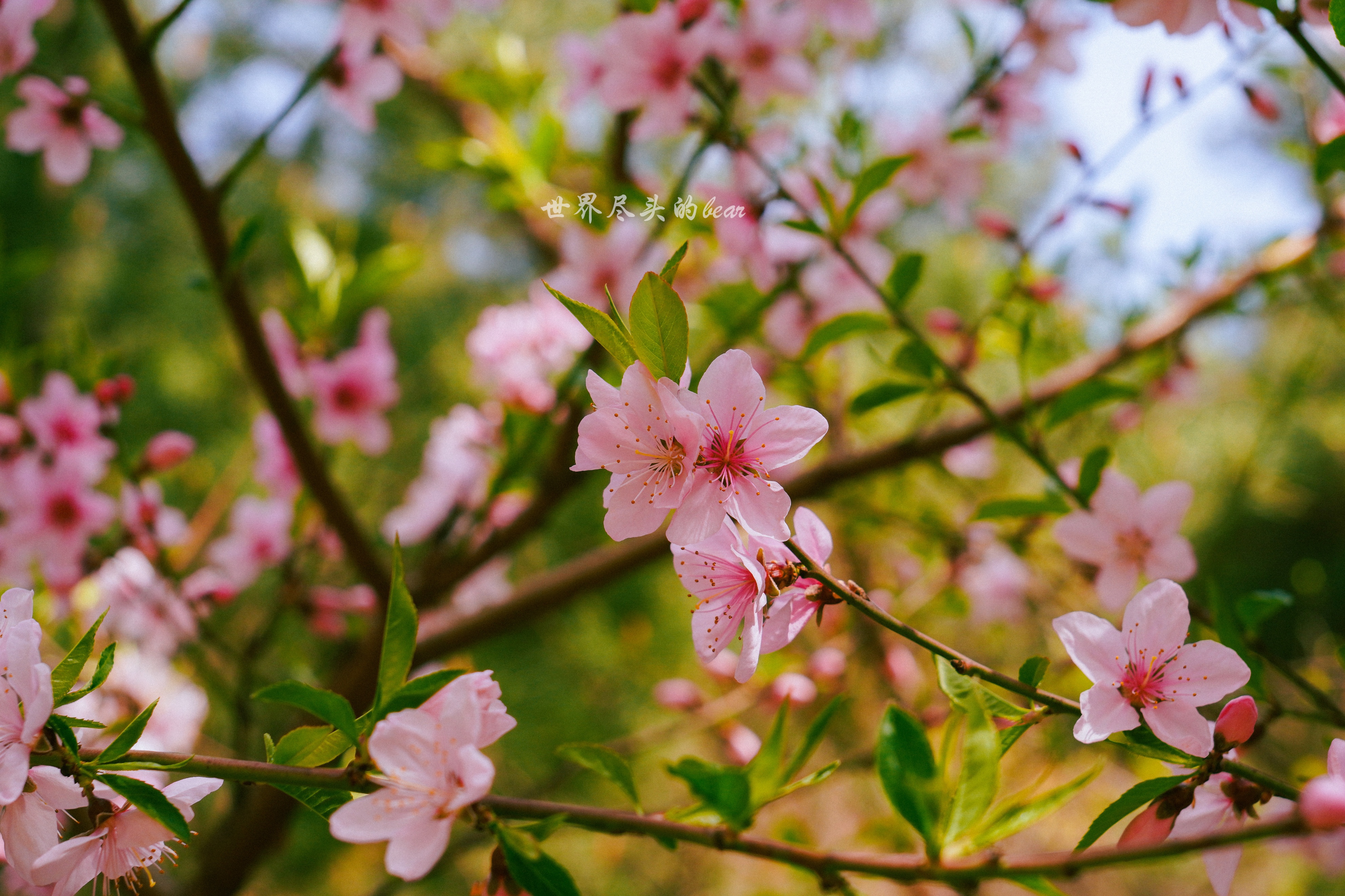 目前性价比高的ddr432G内存,2022年ddr4内存条8g性价比推荐