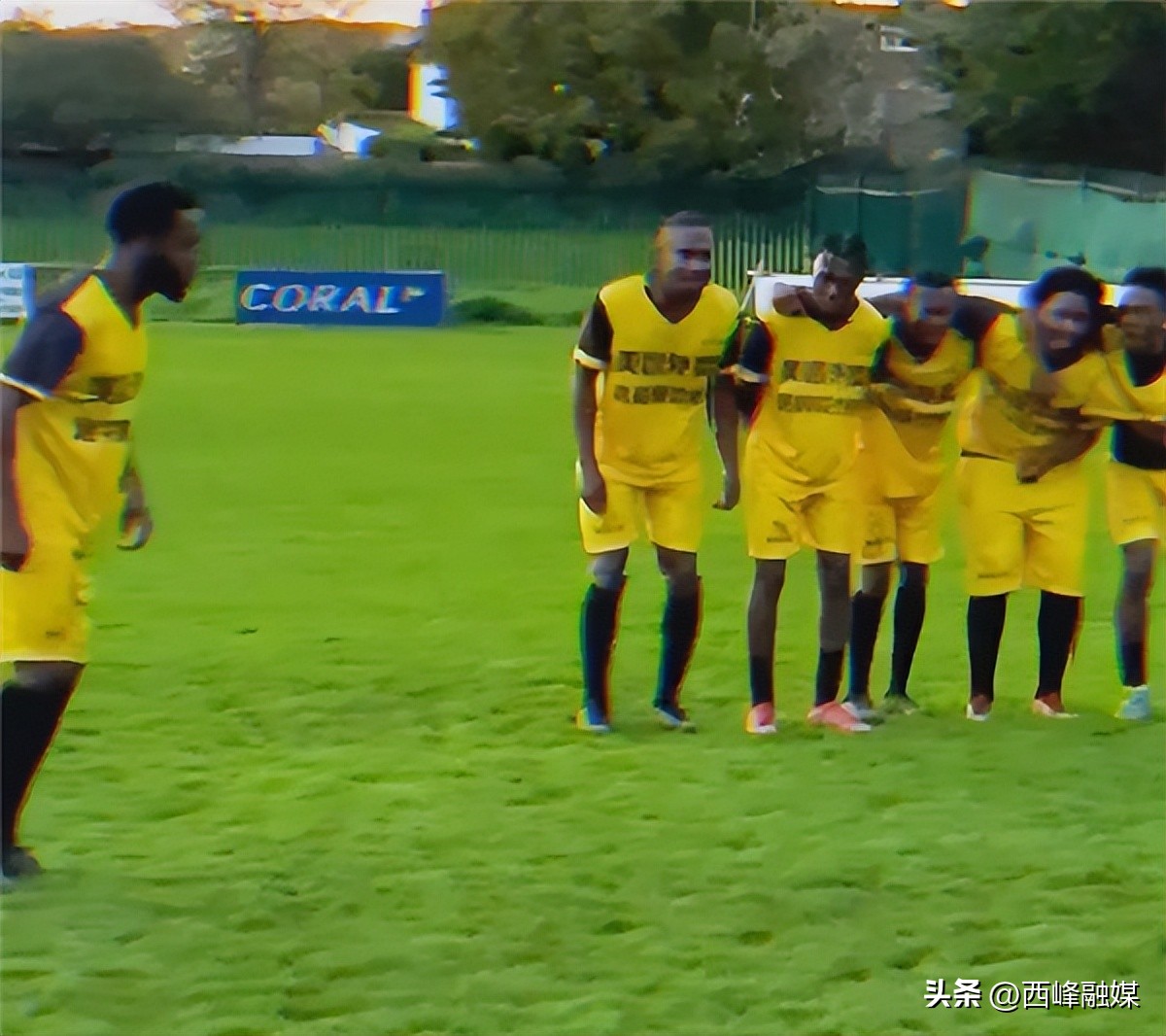 加纳球衣撞衫外卖小哥狗狗,加纳世界杯球衣