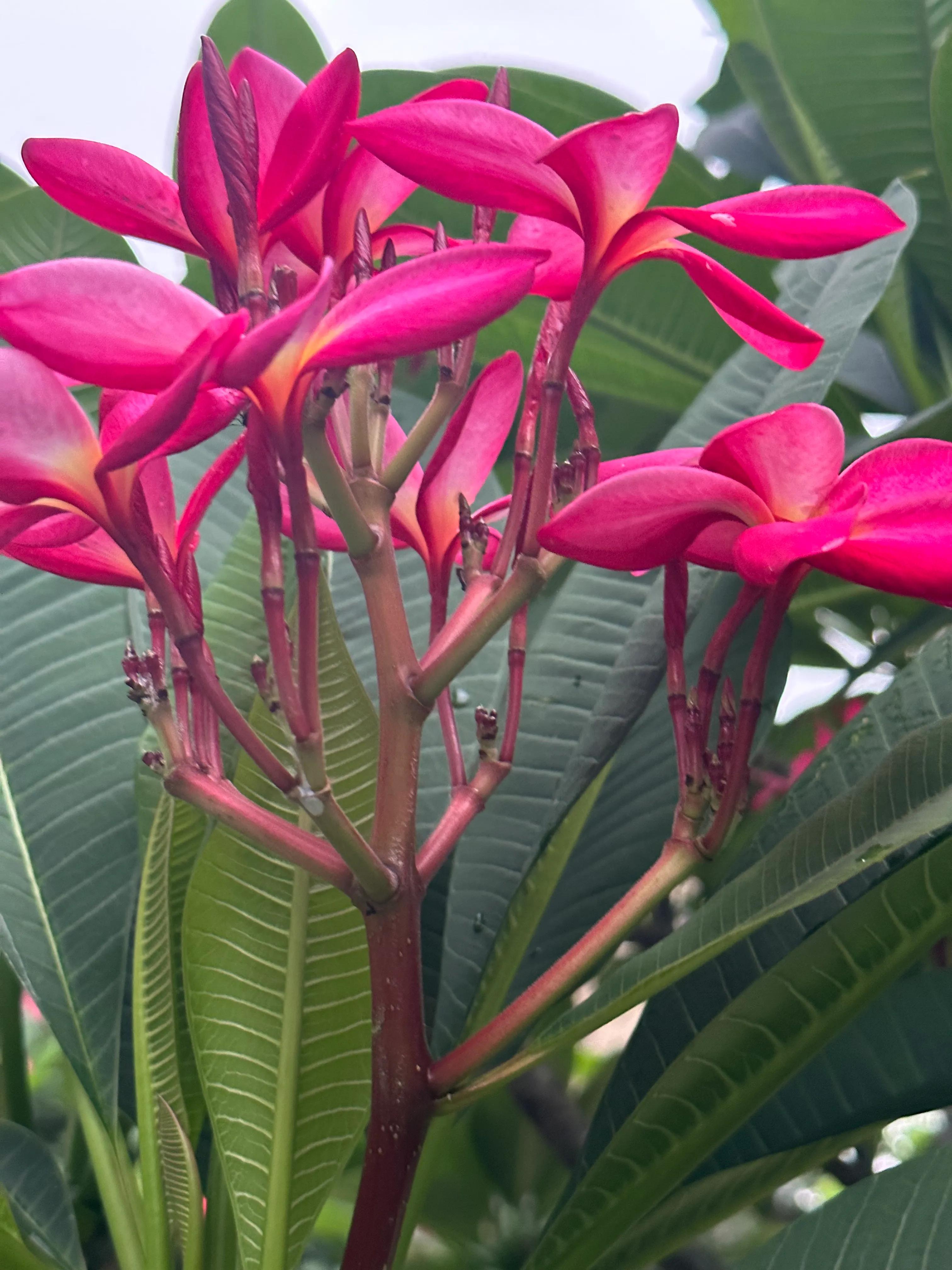 莫名的伤感完整版,莫名的伤感失落的说说