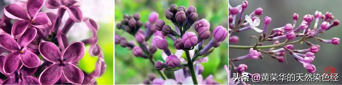 中国传统色彩意义,中国传统色彩绛紫