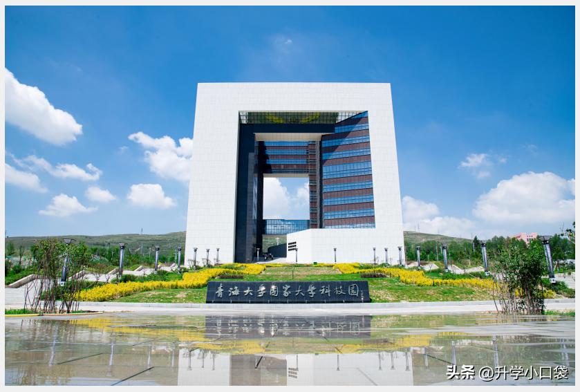 青海大学2023年保研情况，全校保研231人，男生保研94人