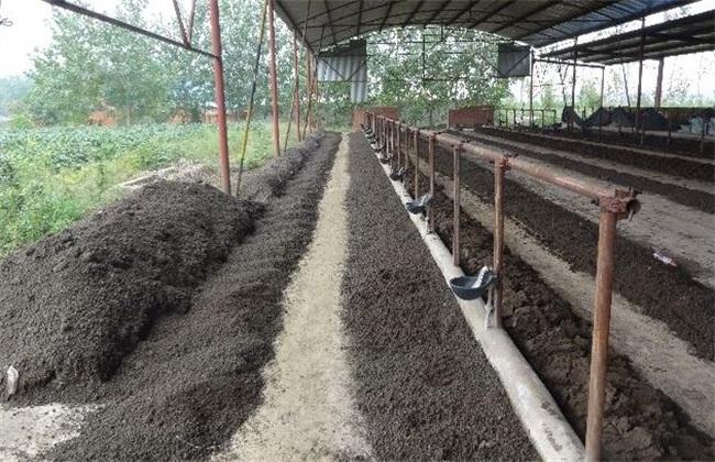 禽畜粪便环保处理,畜禽粪便处理循环利用利弊