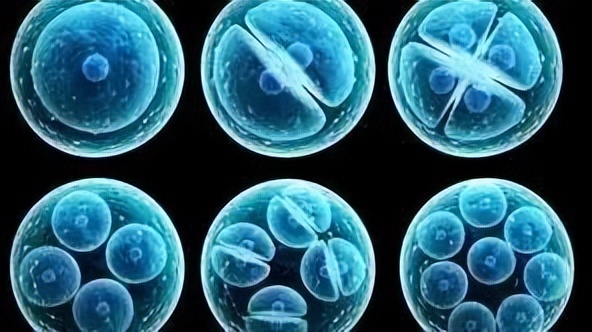 间充质干细胞治疗神经系统疾病,神经干细胞和间充质干细胞哪样好