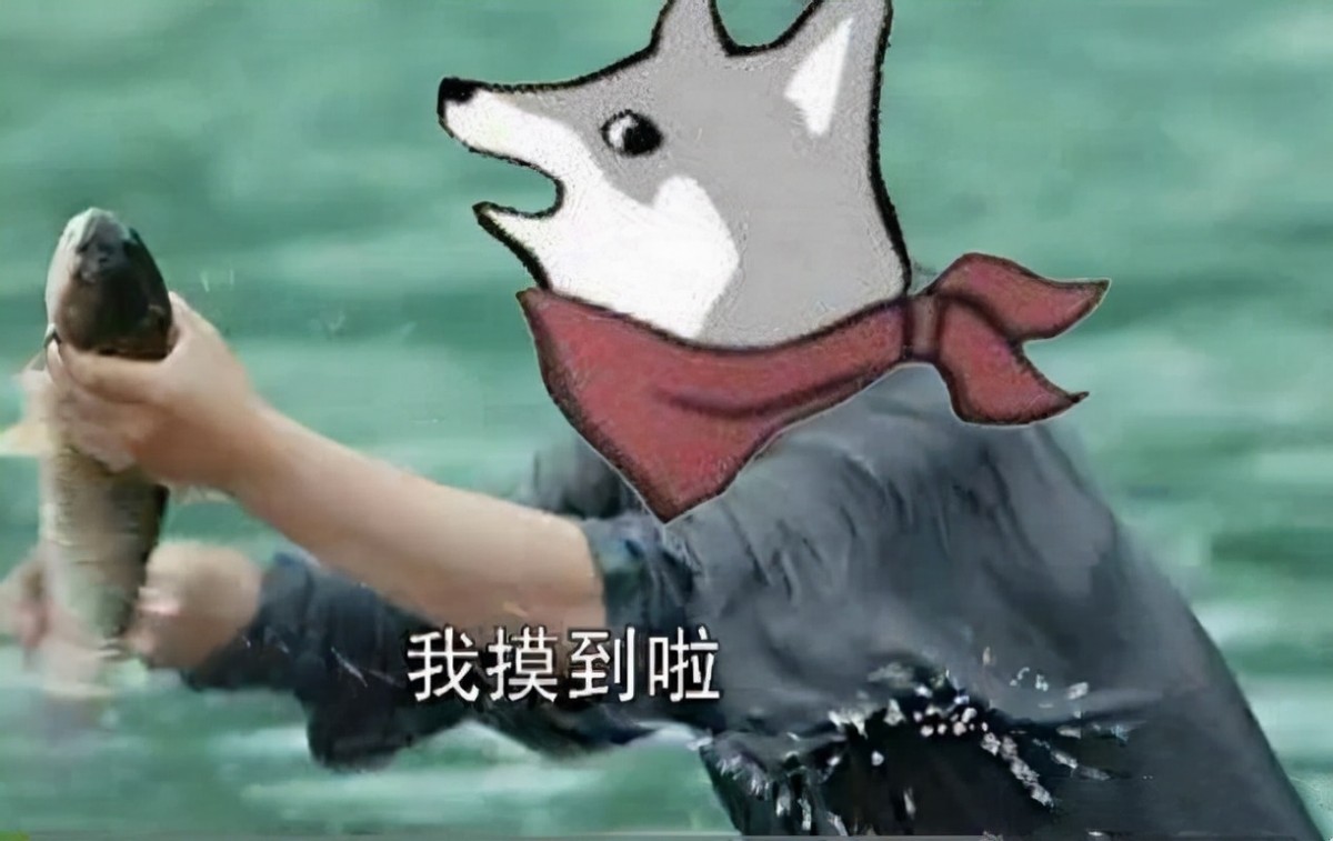 英雄联盟2023年皮肤打折活动表,英雄联盟2019至臻点活动