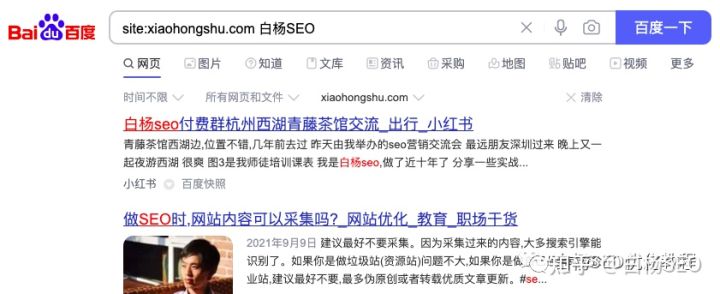 2021seo搜索引擎新趋势,seo搜索引擎现状分析