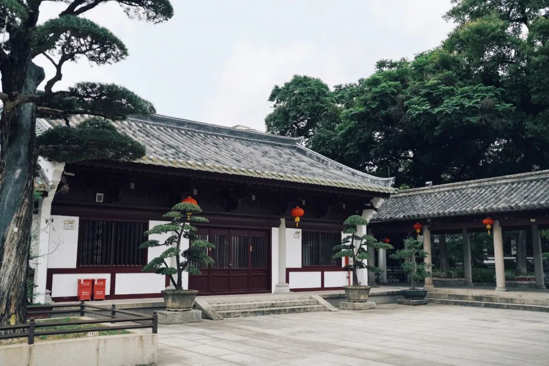 在广州逛遍全国,广州逛的街