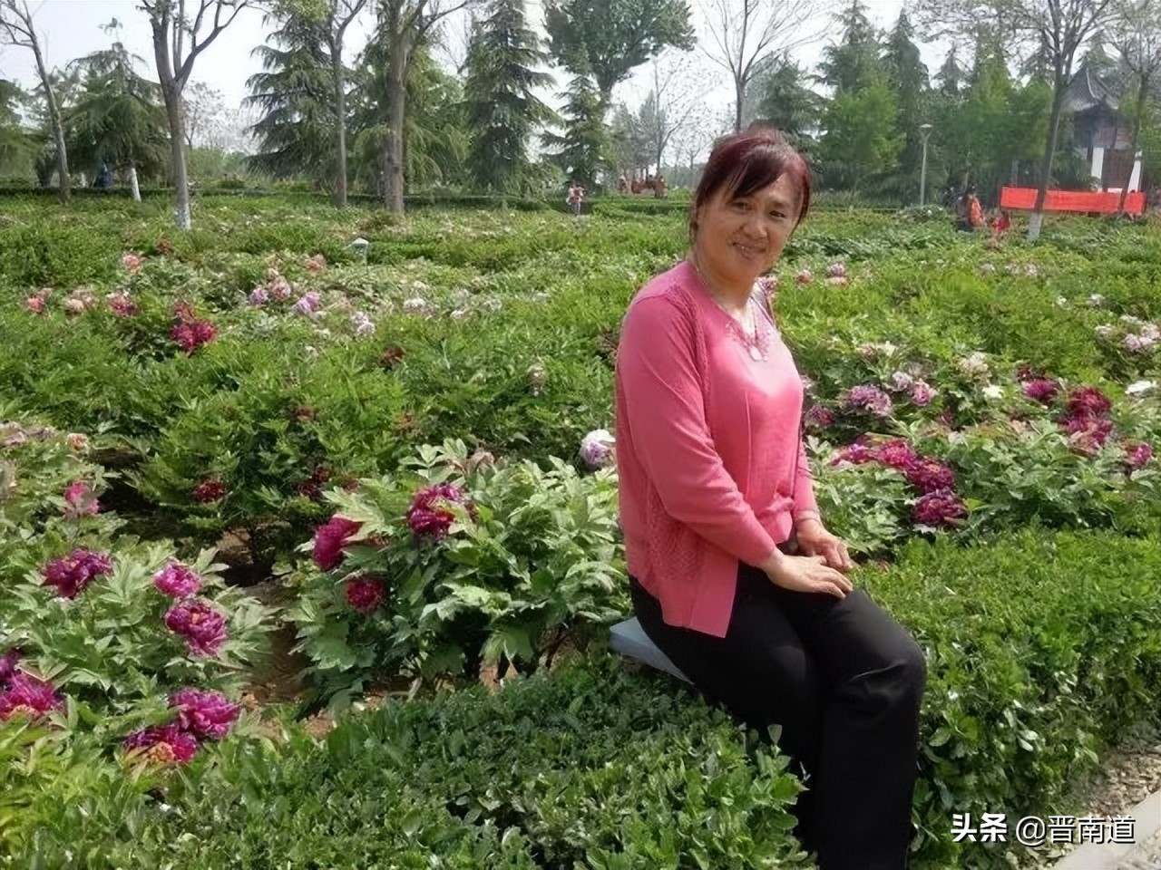 记忆那年秋创作的原声完整版,那年麦收歌曲视频