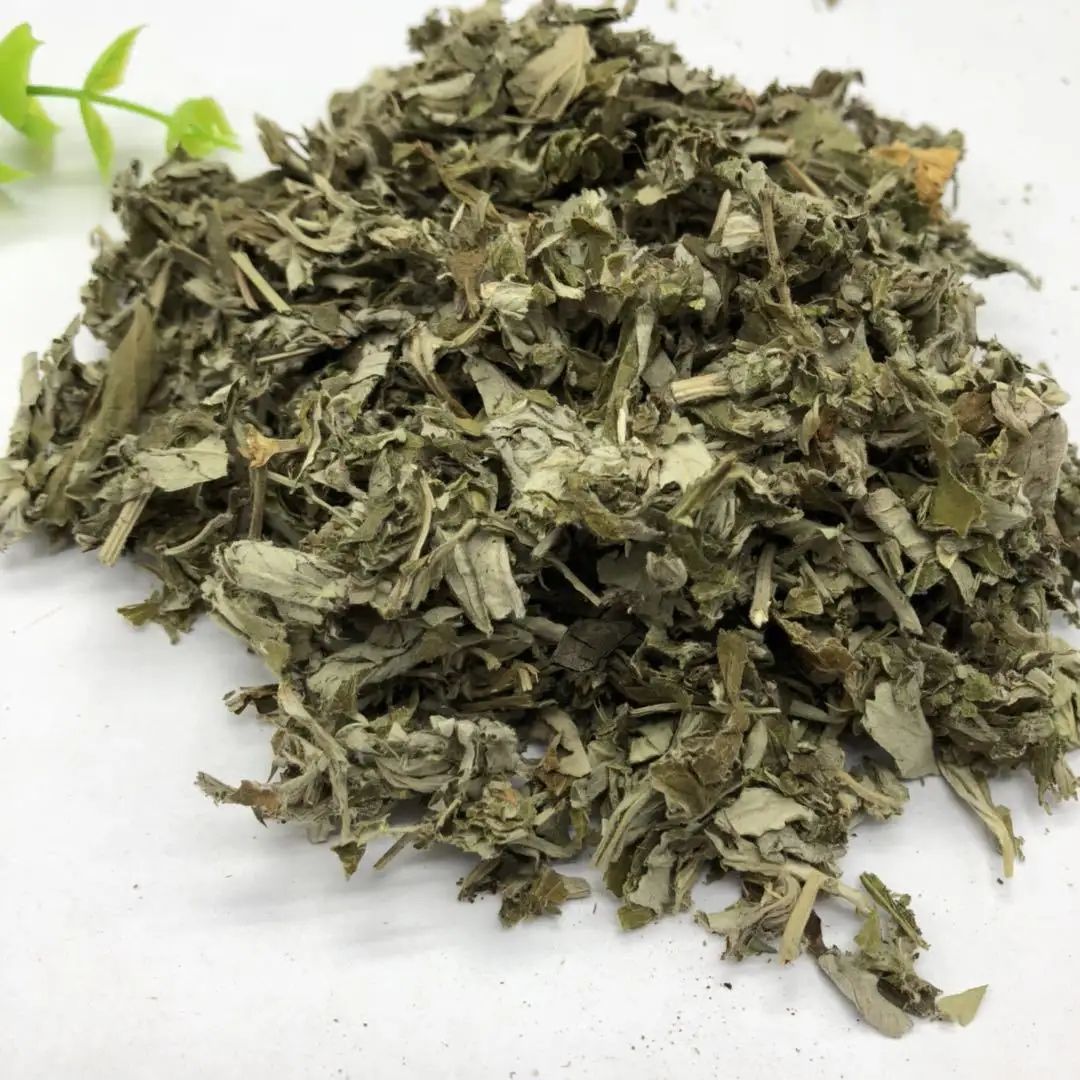 咽喉乳蛾,嗓子长乳蛾吃什么药