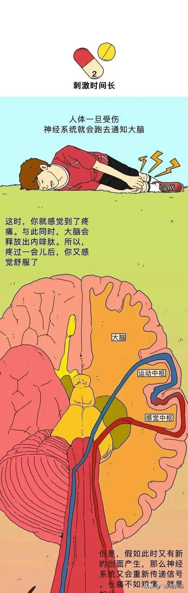 90后打过的“屁股针”，到底有多疼？一组漫画体验，大家打过没？