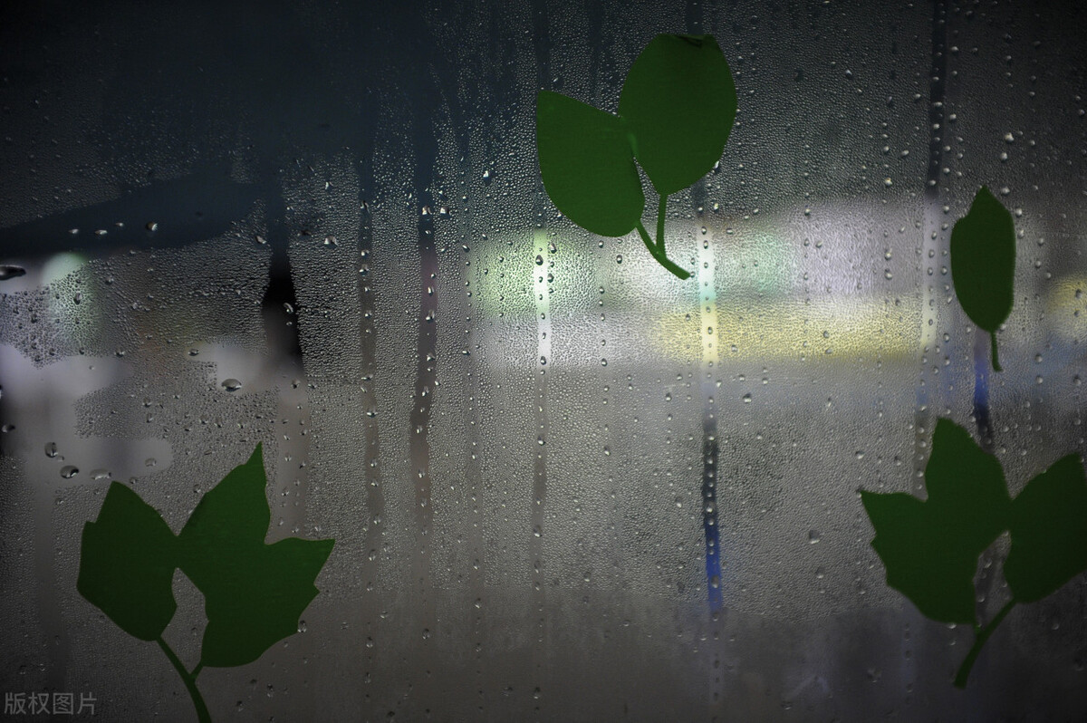 回南天墙壁全是水用什么材料防潮,回南天墙面潮湿怎么补救