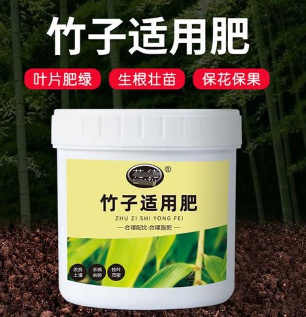 罗汉竹叶子黄了怎么补救,罗汉竹叶子干枯发黄怎么办