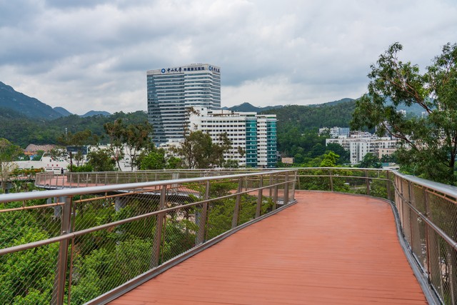 临床医学八大名校都有哪些,国内顶尖的十大医学院