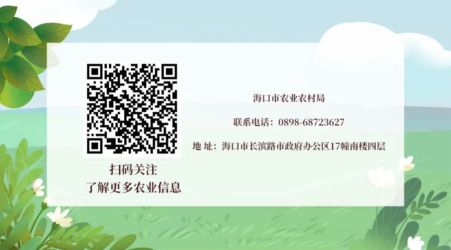 六一去哪里玩最好市区,六一温江遛娃好去处