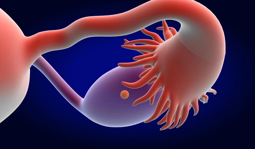 女生体检妇科需要检查哪些,妇科专家给女性的基本常识