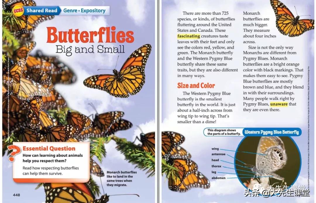 加州英语教材wonders难度,美国加州教材wonders外教课