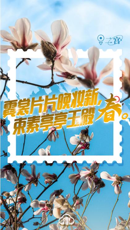 四月的天津,四月初的天津