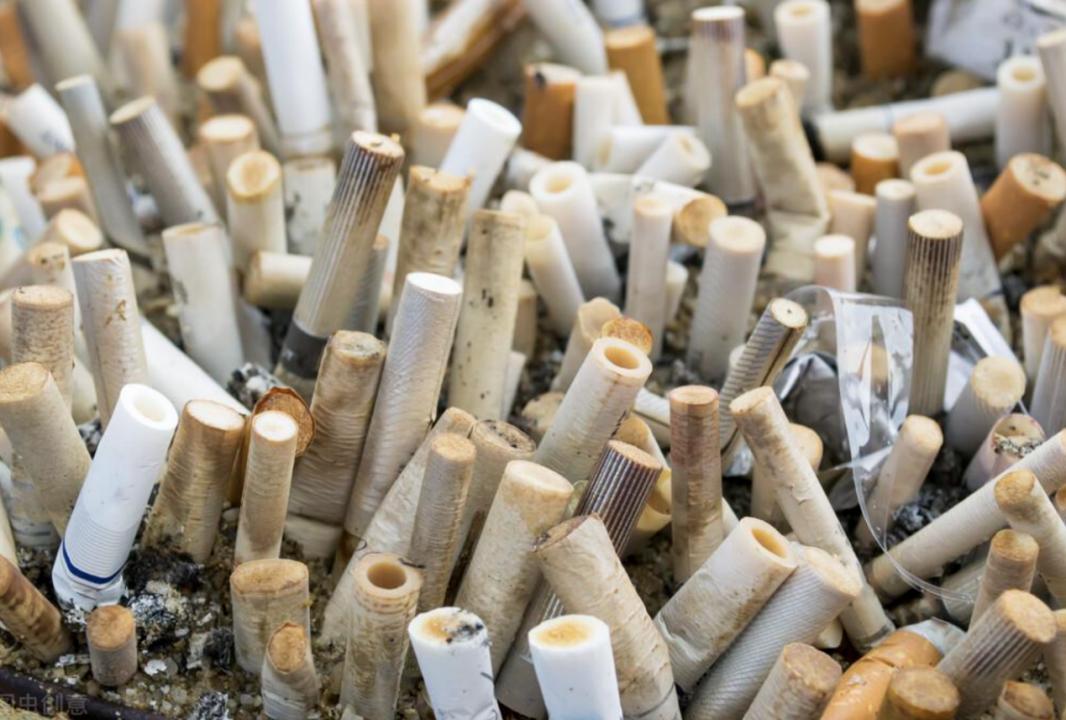 日本收购烟头有什么秘密,日本高价收购我国烟头