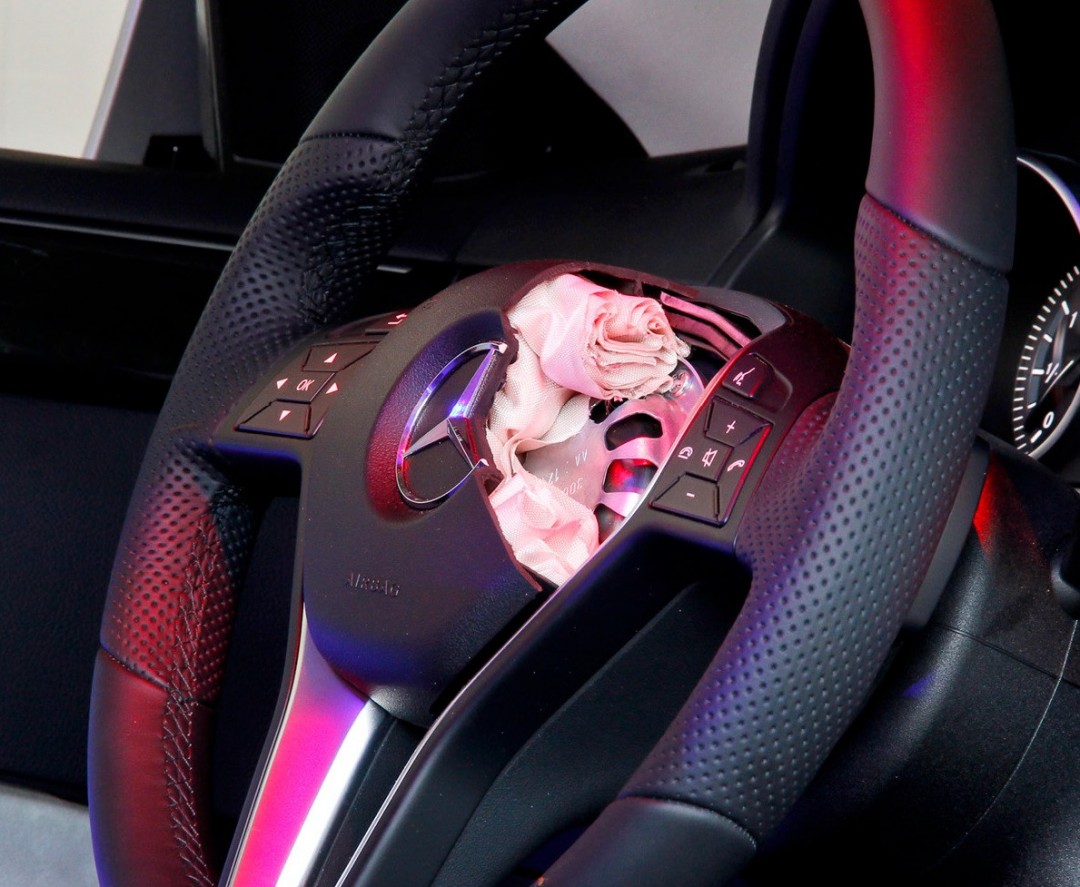 60样东西，切成一半，让你看得一清二楚