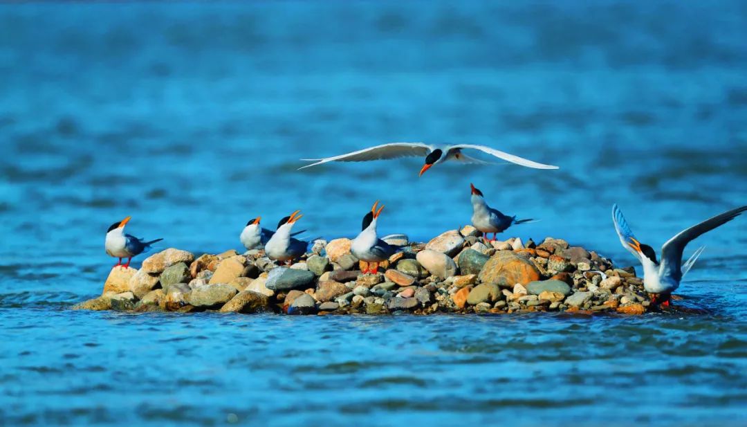 昆明七彩云南怎么样,七彩云南避暑家园