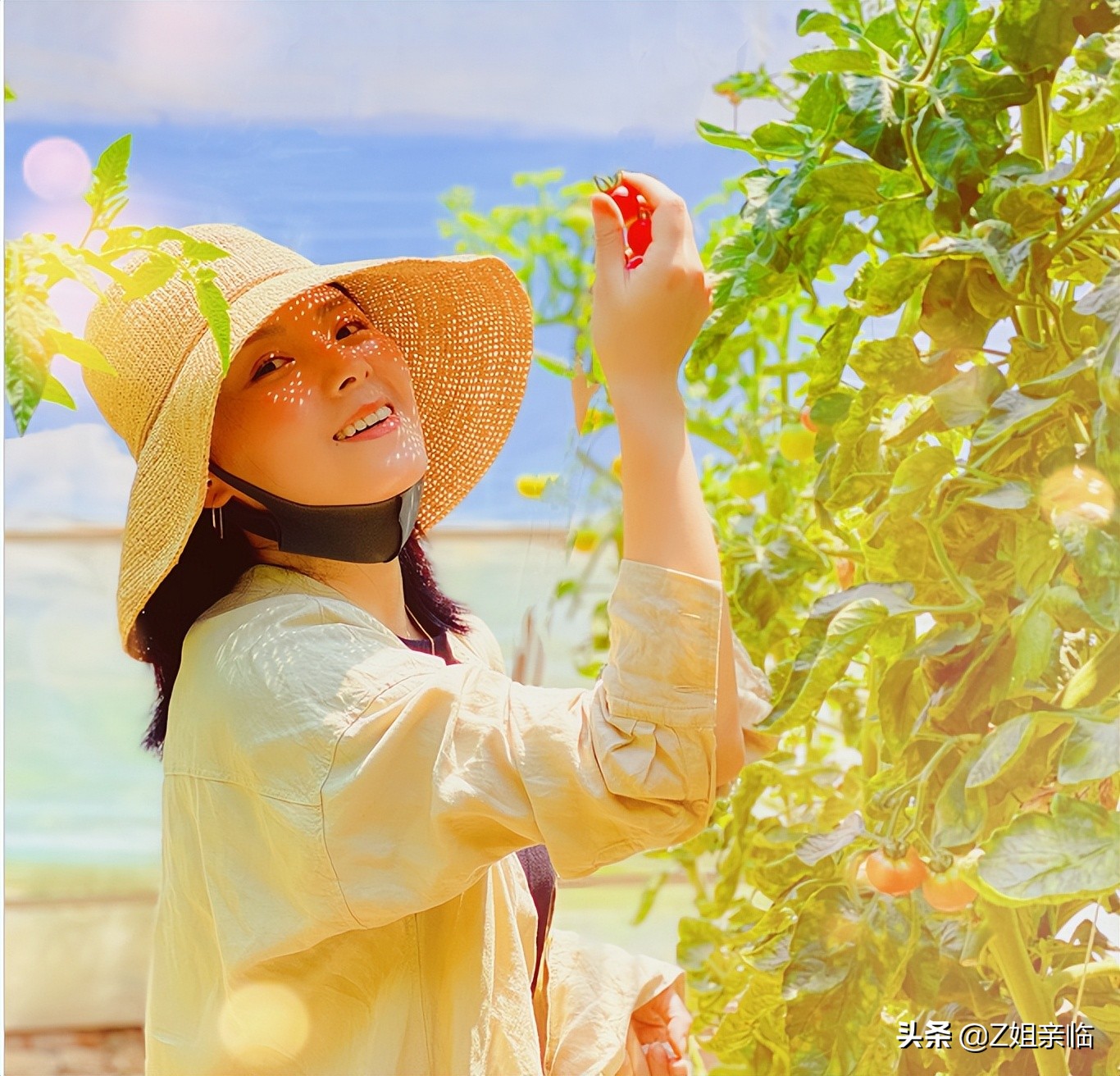 陈红江西,江西第一美人陈红