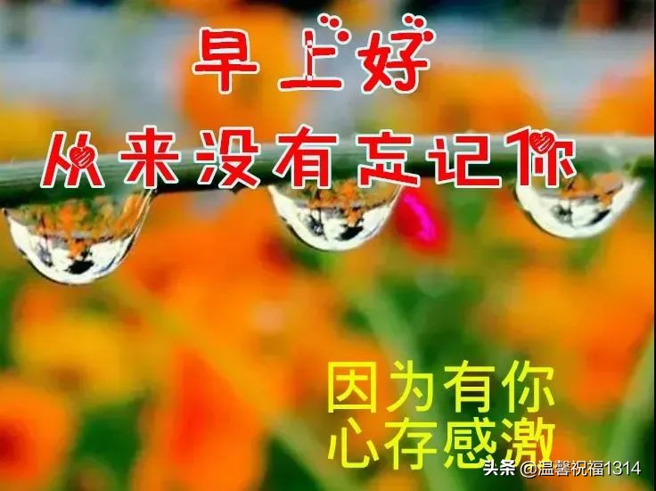 2018微信早安最美的动态表情大全,微信最漂亮早上好表情图片带鲜花