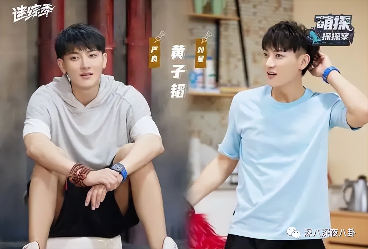 王子腾是几线演员,王子腾下一部戏