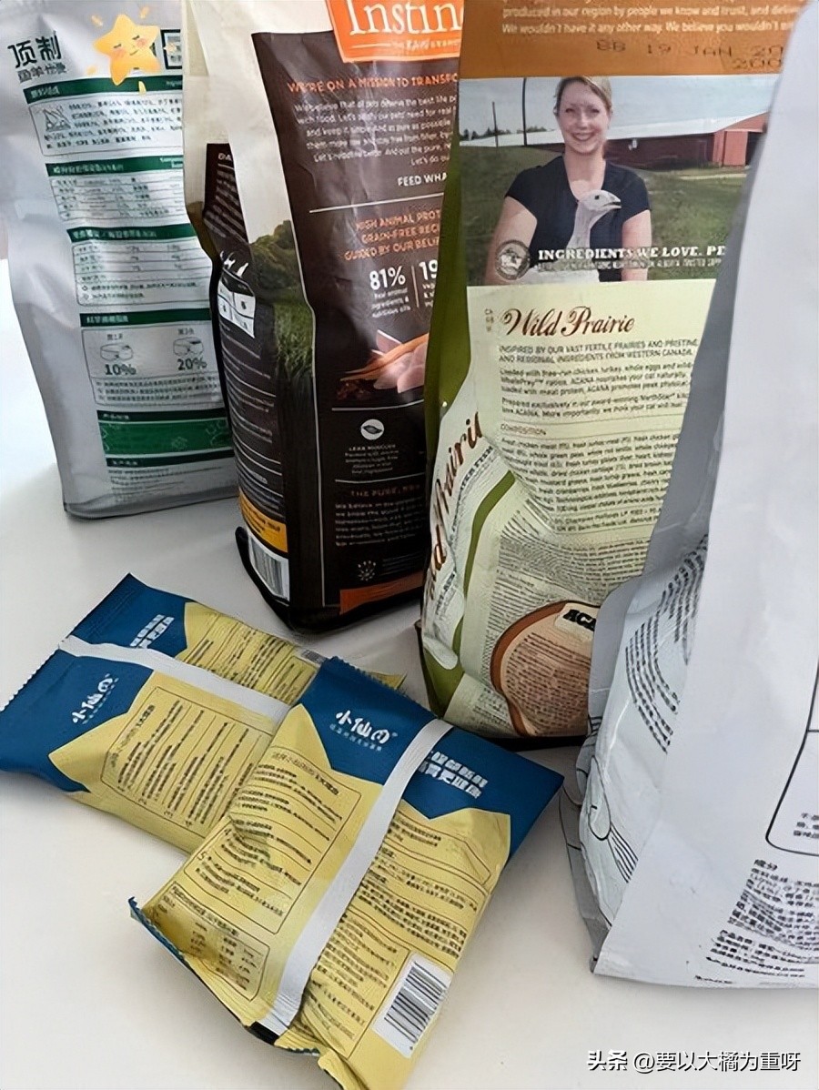 猫咪胖了怎么样才能减肥,猫咪肥胖怎么减