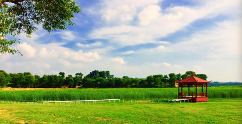 魅力赛罕秋意浓①｜金秋十月，来赛罕区见面的3种方式