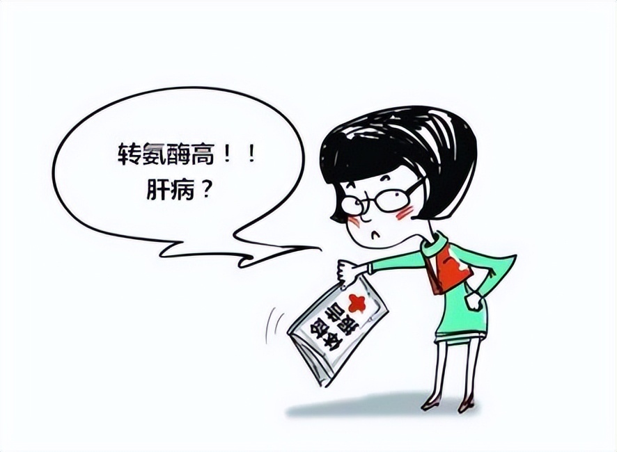 谷草转氨酶和谷丙转氨酶哪个难降,谷丙转氨酶与谷草转氨酶升高区别