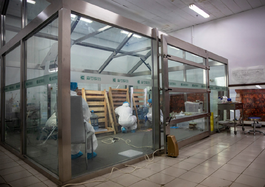 【北京文化守护人】何秋菊：给漆棺“看病”