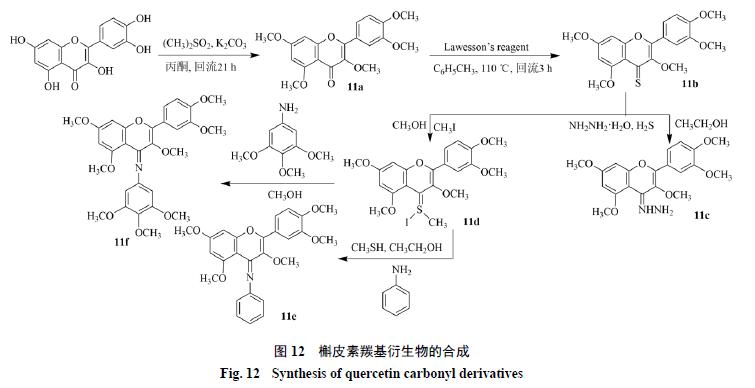 槲皮素的氧化机理,槲皮素的有关药物活性成分