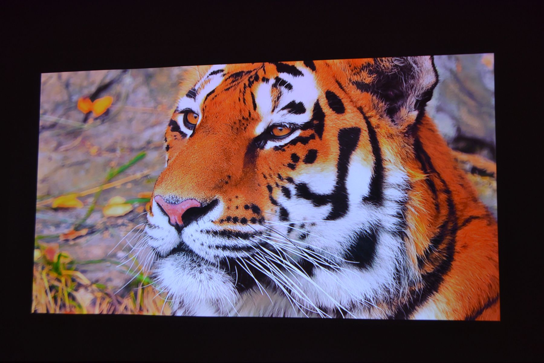 当贝x5投影500寸效果,当贝x5ultra4k投影仪测评