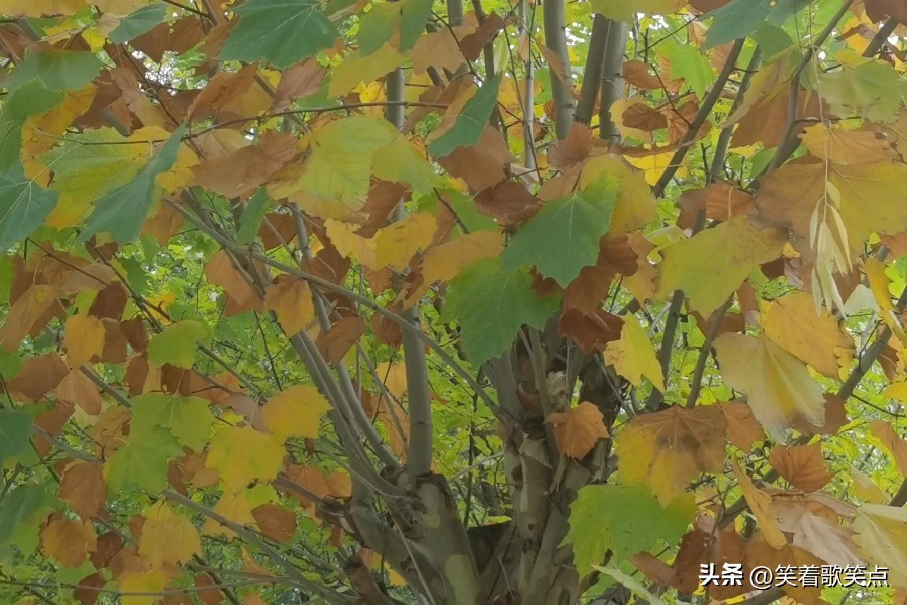 小小说是啥意思,小小说的开头结尾