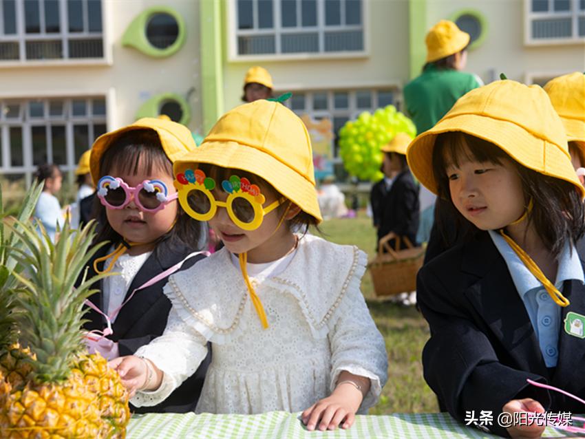 2024德阳公办幼儿园报名统计,德阳2024幼儿园招生信息一览表