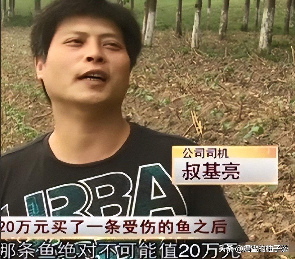 男子花13万买的鱼因停电缺氧死亡,男子花20万买一条受伤鲶鱼后续