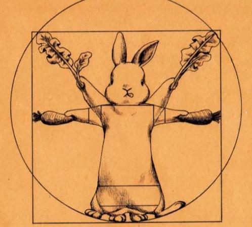 古埃及的兔,古老文献中兔子的记载