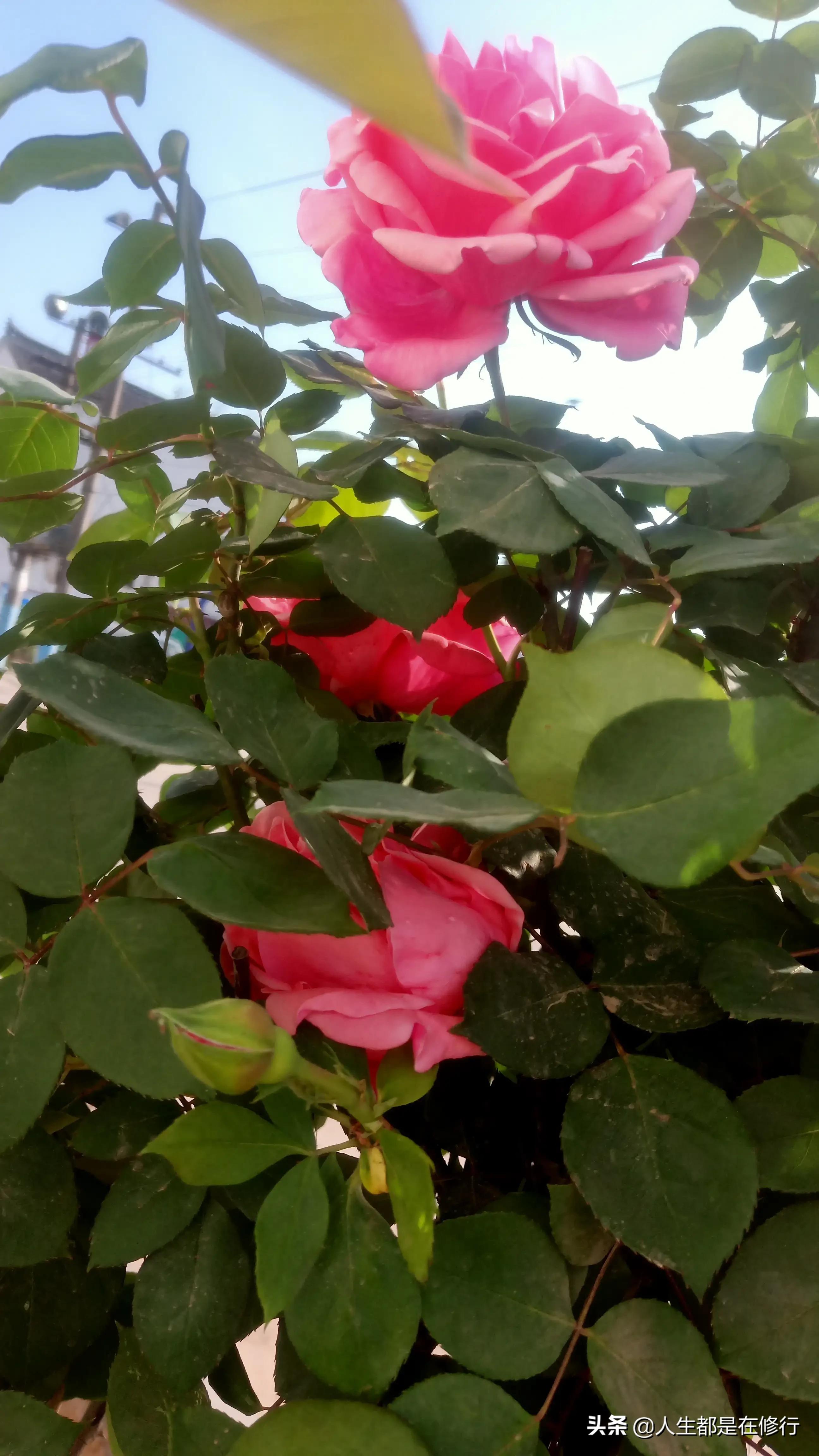 教大家一种拒绝的方法,学会怎样拒绝别人的六个技巧