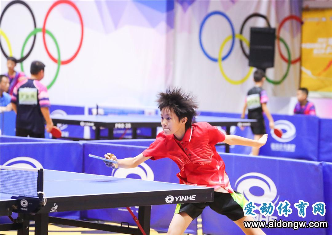 2019年海南省青少年乒乓球锦标赛,海南u12乒乓球比赛