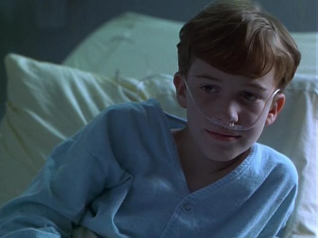 鳄鱼波鞋走天涯完整版在哪可以看,鳄鱼波鞋走天涯影片整体拍摄风格