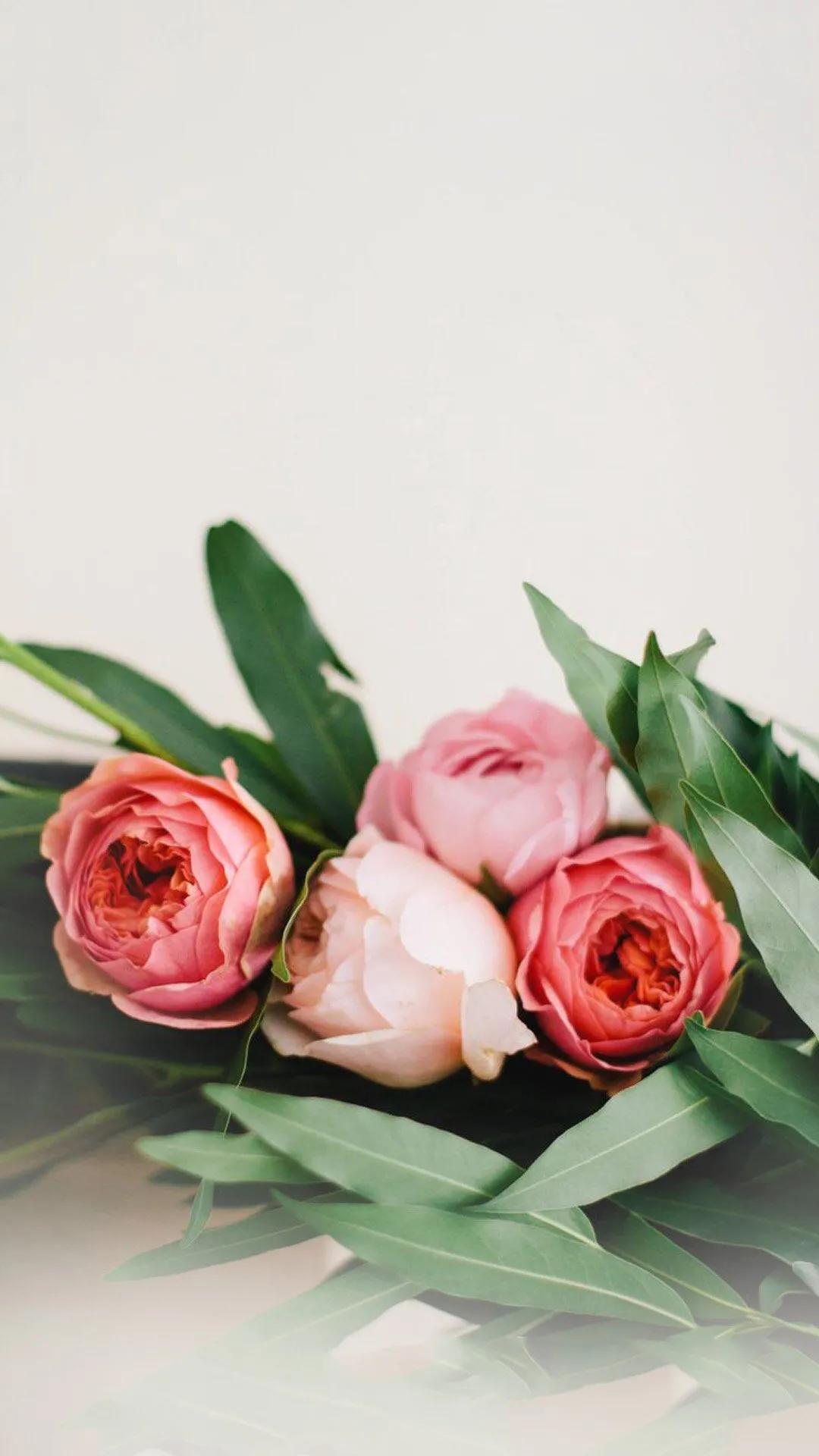 唯美手机壁纸高级感,唯美手机壁纸高清全面屏