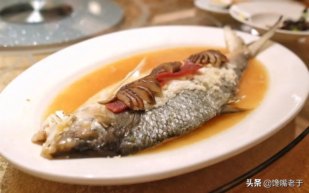 冬天最适合吃的五种鱼,盘点夏季必吃的十种鱼