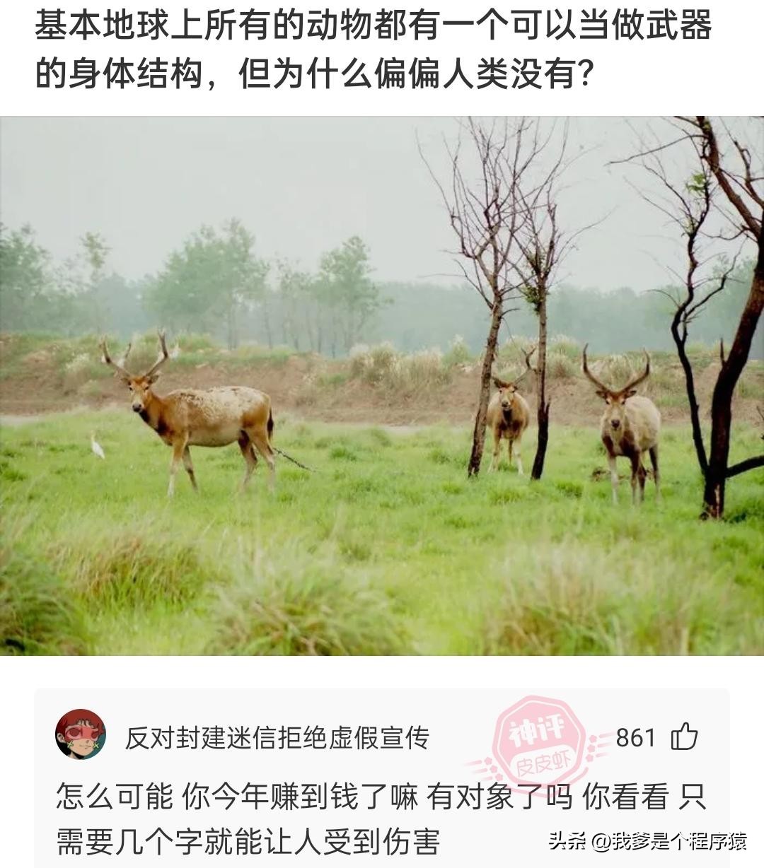 优选搞笑段子推荐,水果优选段子