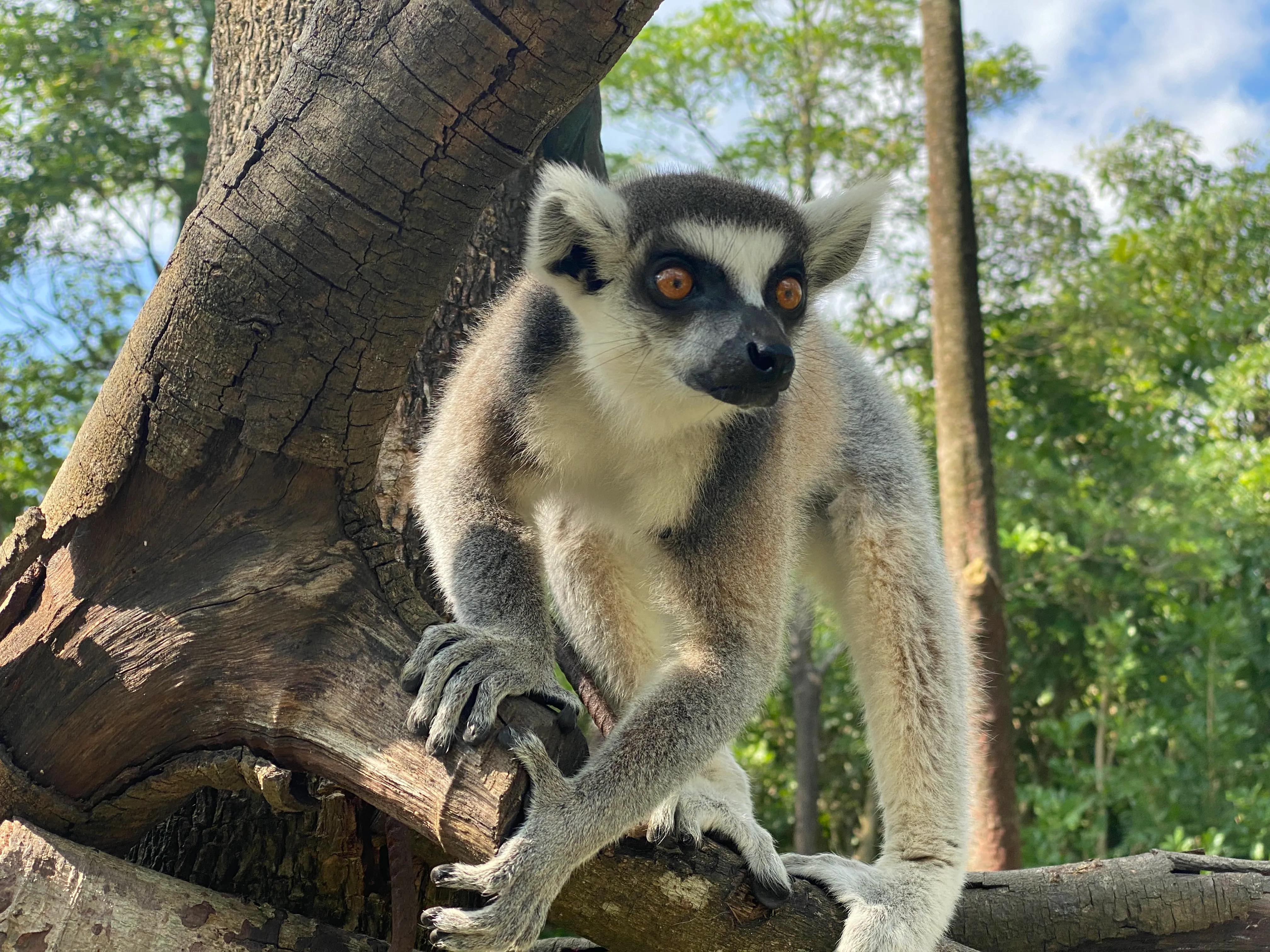 罗浮山浮生六季生态园研学,惠州博罗罗浮山浮生六记生态园