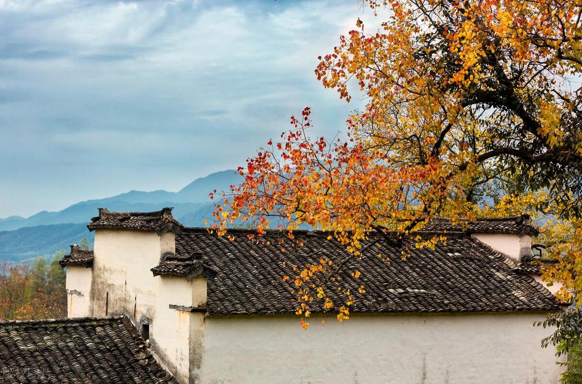 头晕耳鸣高血压睡不着觉怎么办,高血压头痛头晕耳鸣耳聋吃什么药