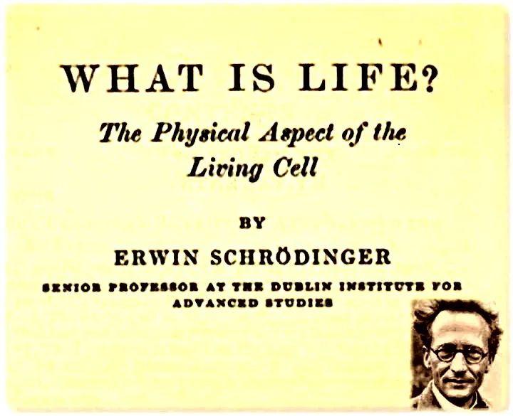 从基础知识看科技创新,从科技发展史看科技创新