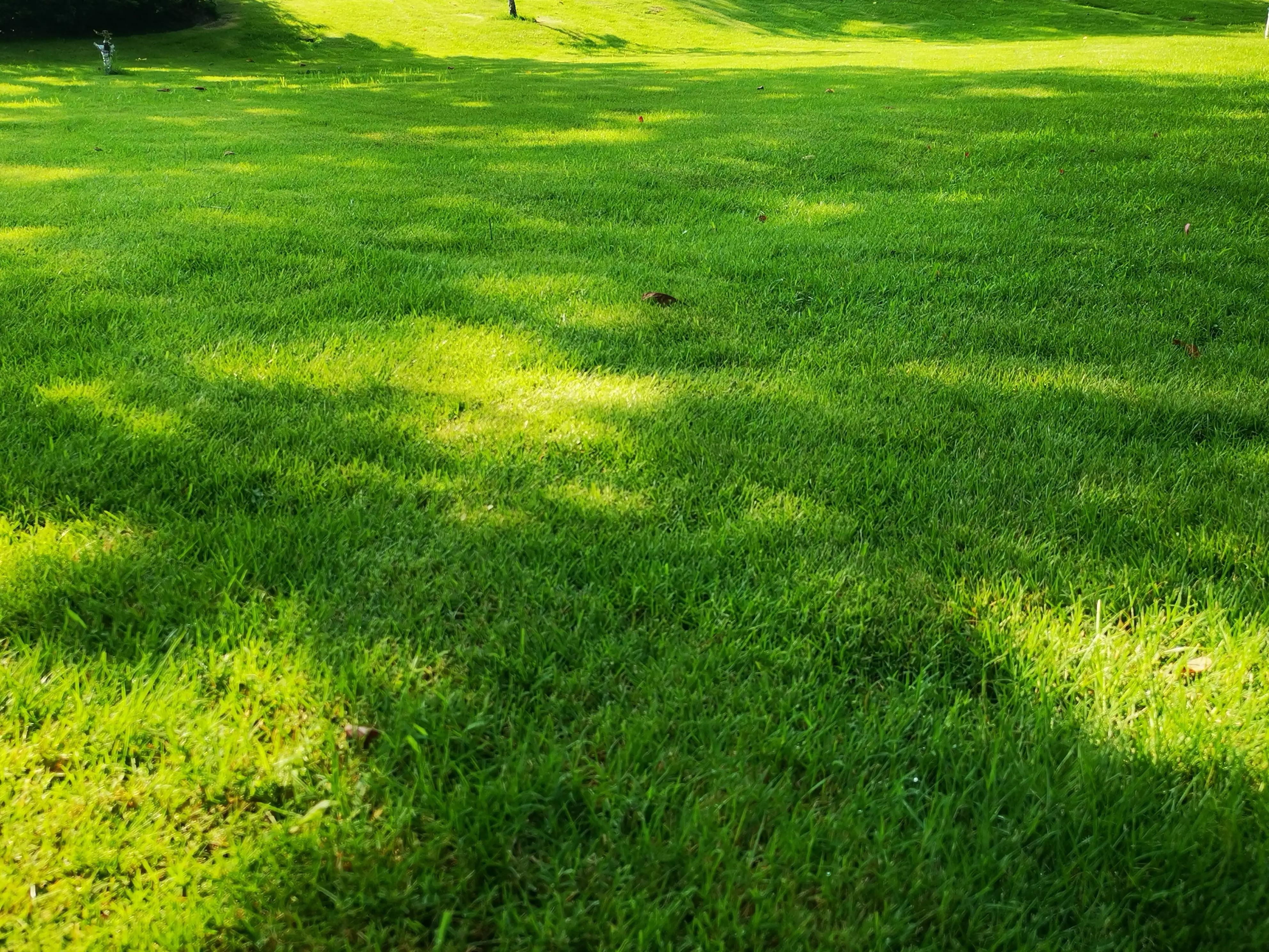 亲子教育作文600字,亲子共读童年作文