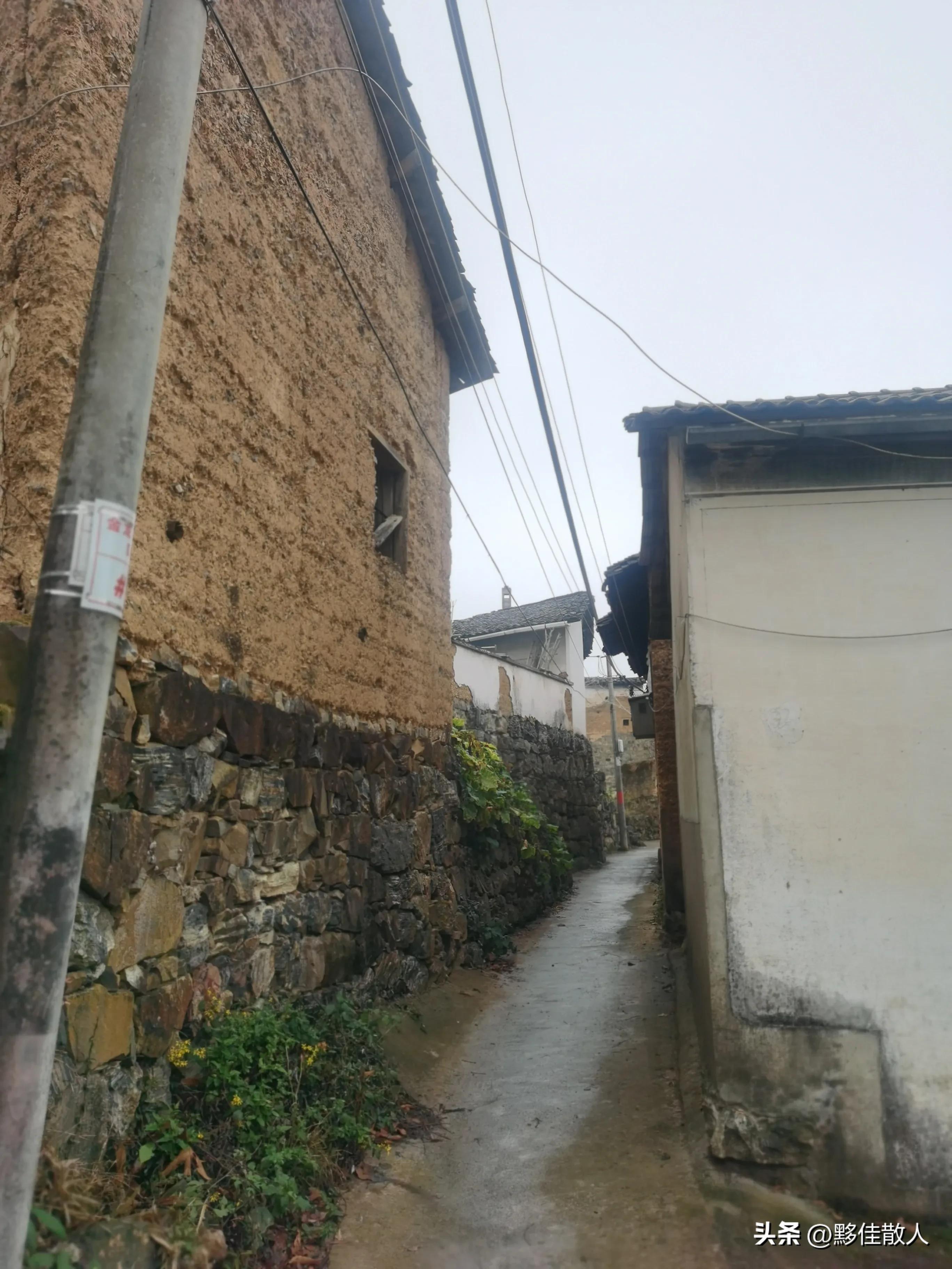 回乡偶书原文,回乡遇见儿时玩伴