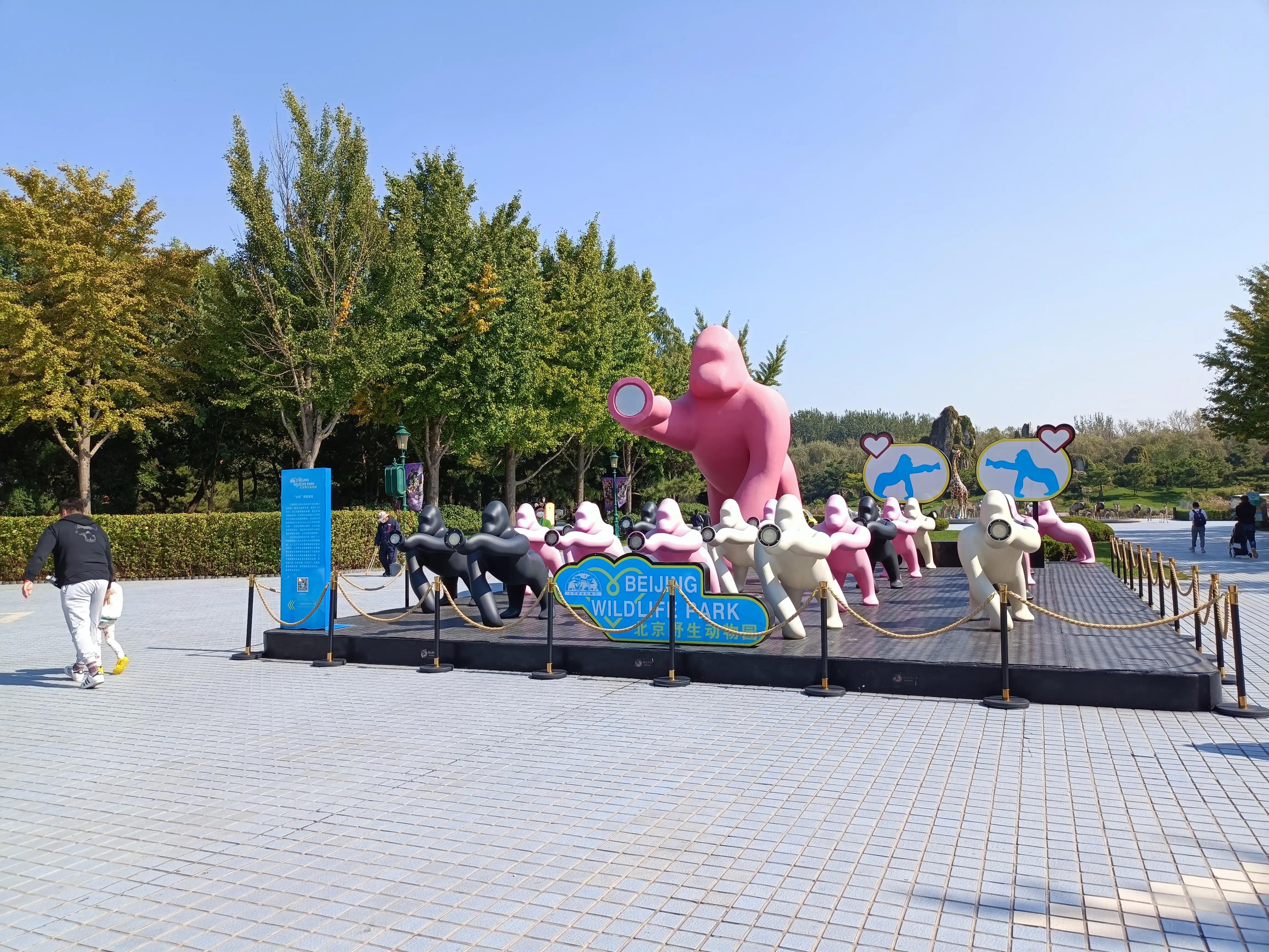 北京动物园和北京野生动物园区别,北京野生动物园狗妈妈和老虎狮子